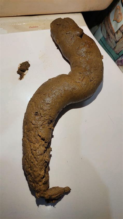 porno poop|Scat Tube with Selected Scat Porn and more